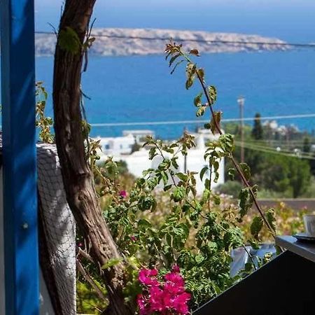 Aloe Paros Suites And Studios Drios Zewnętrze zdjęcie