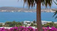 Aloe Paros Suites And Studios Drios Zewnętrze zdjęcie