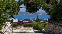 Aloe Paros Suites And Studios Drios Zewnętrze zdjęcie